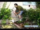 Nasıl Your Çim Ve Bahçe Yönetmek İçin: Nasıl Evinizin Etrafında Çalılar Kırpmaya Resim 3