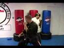 Dövüş Sanatları Silah Eğitimi : Dövüş Sanatları Teknikleri Tonfa  Resim 4