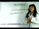 Menopoz İçin Yardımcı Hekim : Destek & Menopoz Hakkında Detaylı Bilgi  Resim 4