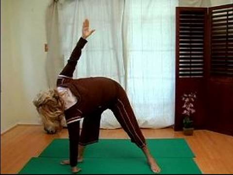 Hatha Yoga Pozisyonları Ayakta : Ön Spinal Büküm Ayakta Hatha Yoga Poz 