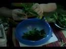 Makarna Ve Pesto Sosu Tarifi : Fesleğen Çıkarma Fettucine Makarna Ve Pesto Sosu Yemek İçin Kaynaklanıyor  Resim 4