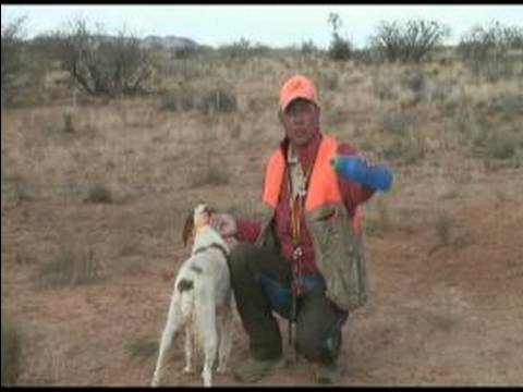 Nasıl Avı Kuş Köpek İle Yapılır: Avcılık Köpek Tutmak Nasıl Sulu Resim 1