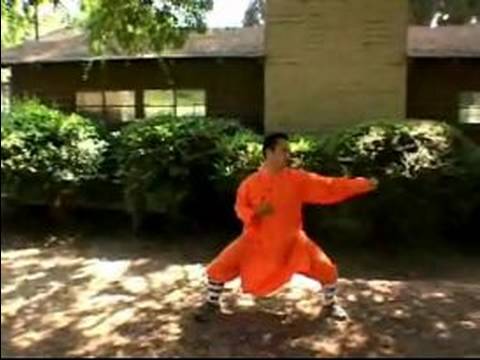 Shaolin Kung Fu Teknikleri : Shaolin Kung Fu Combo Hamle Öğrenin  Resim 1