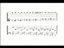 Barok Lavta Nasıl Oynanır : Barok Lavta Müzik Nasıl Okunur 