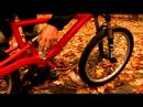 Yokuş Aşağı Dağ Bisikleti Temel Bilgiler: Nasıl Pedallar İçin Yokuş Aşağı Dağ Bisikleti Seçin Resim 3