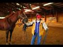 Nasıl Atlar İçin Bakım : At Bakım Ekipmanları İpuçları Resim 4