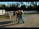 Nasıl Düzgün Senin At Kurşun: Bir At Yanlış Tarafta Önde Gelen Resim 4