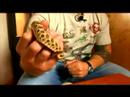 Nasıl Hognoz Yılanları Bakımı: Hognoz Snake Bilgi Resim 4