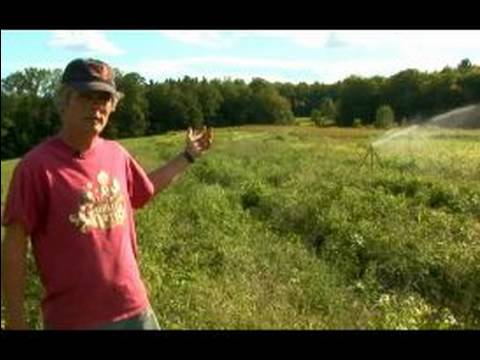 Bahçe Bitkileri Su Nasıl Yapılır : Çim Veya Bahçe Alanı Üzerinde Titreşen Sprinkler Kullanmayı  Resim 1
