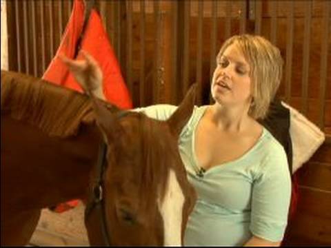 Nasıl Bir At Nalı Yele Band: At Yelesi Bantlama İçin Güvenlik İpuçları