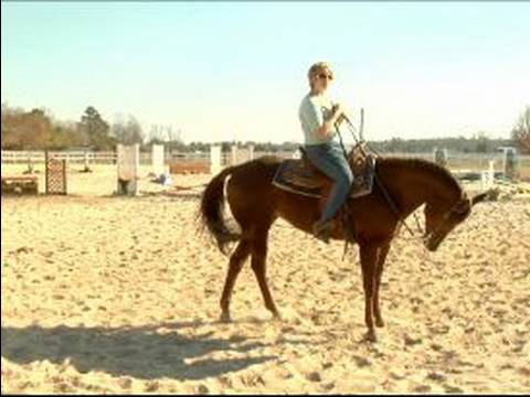 Nasıl Senin At Egzersiz: Bir At Egzersiz Güvenliği İçin İpuçları