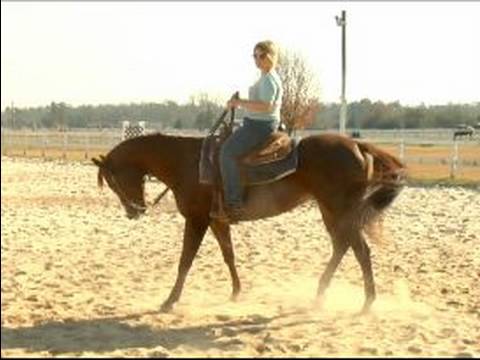 Nasıl Senin At Egzersiz: Nasıl Bir Atı İle Dolaylı Döner, Bir Koşu Egzersiz Resim 1