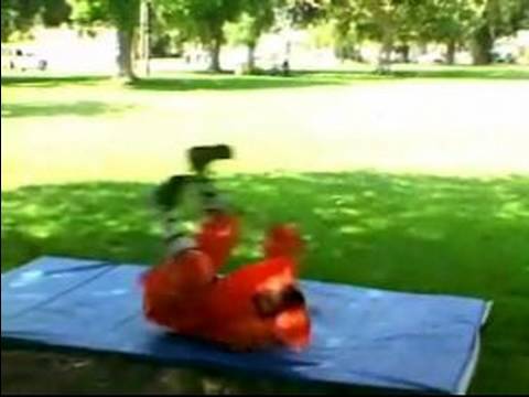 Shaolin Kung Fu Teknikleri : Kung Fu Shaolin Çevirir Ve Tumbles Öğrenin 