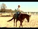 Birkaç İpuçları Basic İçin At Bakım: Egzersiz İçin Bir At Binmeyi