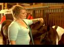 Nasıl Bir At Nalı Yele Band: Nasıl Bantlama Sonra Bir At Yelesi Kırpmaya