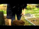 Temel Bahçe İpuçları : Ne Zaman Kompost Yığını Bitti Mi?