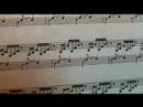 Klasik Müzik Notasıyla Okuma : Klasik Müzik E Majör 7-9 Önlemleri  Resim 3
