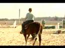 Birkaç İpuçları Basic İçin At Bakım: Egzersiz İçin Bir At Binmeyi Resim 4