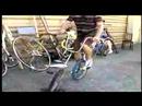 Nasıl Bir Tek Tekerlekli Sirk Bisikletine Binmek: Aynı Anda İki Tipi Sürme Resim 4