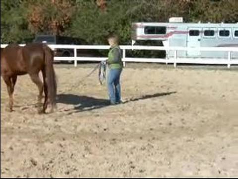 Atını Bir Çizgi Üzerinde Hamle İçin Eğitmek İçin Nasıl Bir Satırda Canter Ters Bir At İçin Nasıl 
