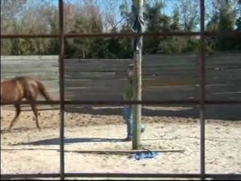 Atını Hamle İçin Nasıl Tren : Stop & Özgür Hamle Ters Bir At Yakalamak İçin Nasıl  Resim 1