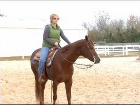 Atını Tırıs Nasıl Yapılır : Bir At Göndererek Bir Gezi İçin Nasıl 
