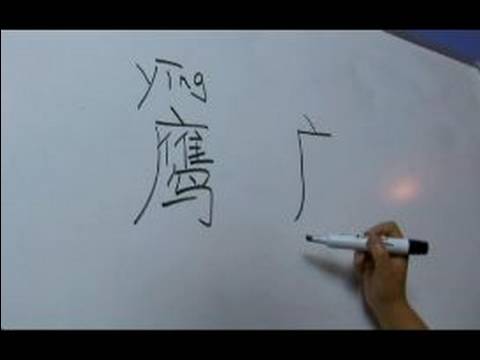 Çin Semboller Iı Hayvan Yazma Konusunda: "eagle" Çince Semboller Yazmak İçin Nasıl Resim 1