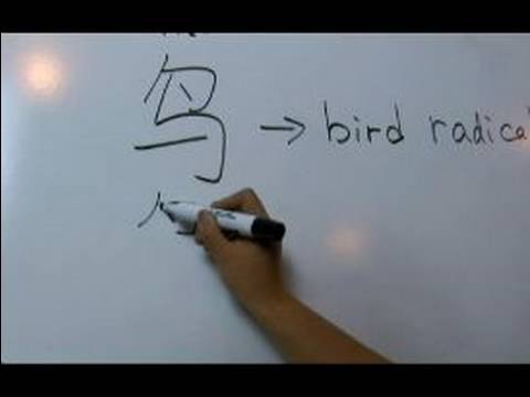 Nasıl Hayvan Çince Semboller Yazmak İçin: "kuş" Çince Semboller Yazmak İçin Nasıl