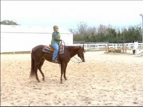 Nasıl Sürmek Senin At, Bir Yürüyüş İçin: Nasıl Bir El İle Bir At Tersine Çevirmek