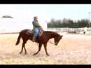 Canter Ve Lope Bir At Binmeyi: Nasıl Genişletilmiş Lope Attan Lope İçin Geçiş