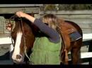Nasıl Senin At İçinde Batı Tarzı Dizgin: Batı A At Başlığı Taç Parçası Konumlandırma