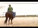 Atını Tırıs Nasıl Yapılır : Uzun Bir Koşu İçine At Geçiş Nasıl  Resim 3