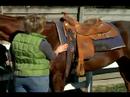 Ne Kadar Batılı Bir Eyer İle Atın Uygun : At Batı Tarzı Yüklemeyi Yaparken Güvenlik  Resim 3