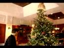Nasıl Bir Noel Ağacı Süslemek İçin: Nasıl Bir Noel Ağacı Noel Topları Eklemek Resim 4