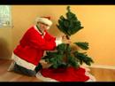 Nasıl Set Up Yapay Bir Noel Ağacı: Nasıl Küçük Dalları İçin Yapay Bir Noel Ağacı Eklemek İçin Resim 4