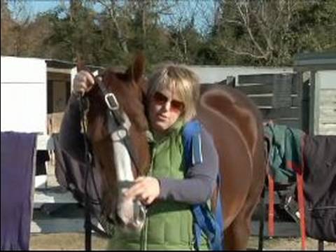 Atın Nasıl Bir Çizgi Üzerinde Hamle Yetiştirmek : Bir Hat Üzerinde Saldırır Önce At Haltering 