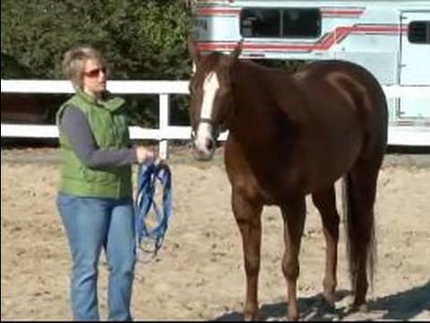Atını Bir Çizgi Üzerinde Hamle İçin Eğitmek İçin Nasıl : Bir Çizgi Üzerinde Bir At Nasıl Ters  Resim 1