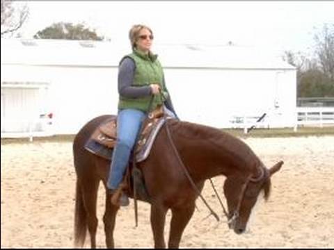 Canter Ve Lope Bir At Binmeyi: Nasıl Bir At Genişletilmiş Bir Lope Geçiş