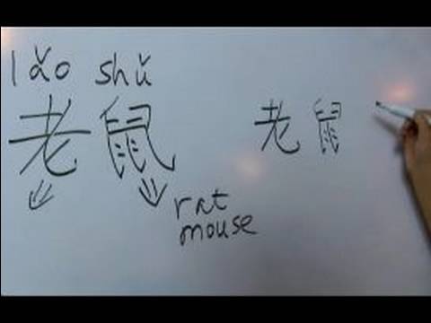 Çin Semboller Iı Hayvan Yazma Konusunda: "fare" Çince Semboller Yazmak İçin Nasıl