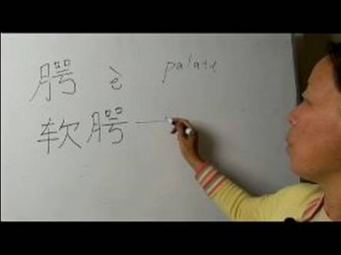 Nasıl Ay Çin Radikal İle Yazılır: Bölüm 6: Çincede 'damak' Yazmak İçin Nasıl