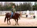 Atını Tırıs Nasıl : Koşu Sırasında Bir Atını Açmak İçin Nasıl 