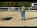 Atını Bir Çizgi Üzerinde Hamle İçin Eğitmek İçin Nasıl : Bir Çizgi Üzerinde Bir At Yürümeyi  Resim 3