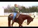 Atını Tırıs Nasıl : Paça Sırasında Bir At Çevirmek İçin Nasıl  Resim 3