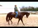 Sürmek Senin At, Bir Yürüyüş Nasıl: Nasıl İki Elle Atlı Yanal Hareket Etmek Resim 3