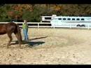 Atını Bir Çizgi Üzerinde Hamle İçin Eğitmek İçin Nasıl Bir Hat Üzerinde Ters Bir At Tırıs Nasıl  Resim 4