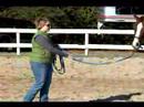 Atını Bir Çizgi Üzerinde Hamle İçin Nasıl Tren : Stop & Hamle Hattı Üzerinde Bir At Yakalamak İçin Nasıl  Resim 4