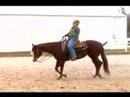 Atını Tırıs Nasıl : Uzun Bir Koşu ATI Koşu İçin Geçiş Nasıl  Resim 4