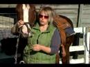 Nasıl Senin At İçinde Batı Tarzı Dizgin: Batı A At Başlığı Tutmayı Resim 4