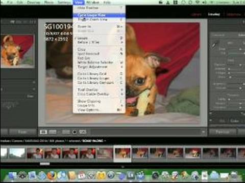 Nasıl Adobe Lightroom Kullanımı : Aydınlatma Büyüteç Görünümü Kullanarak 