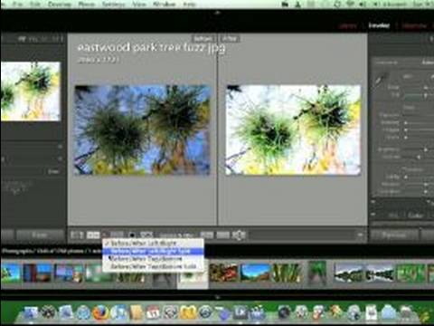 Nasıl Adobe Lightroom Kullanımı : Aydınlatma Modülü Geliştirmek Kontrol Çubuğu Kullanarak  Resim 1